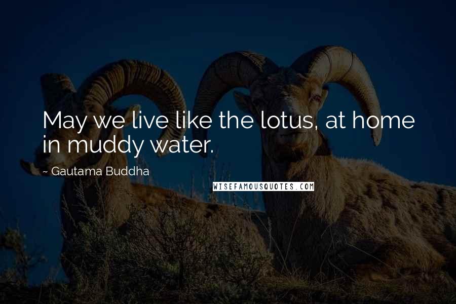 Gautama Buddha Quotes: May we live like the lotus, at home in muddy water.