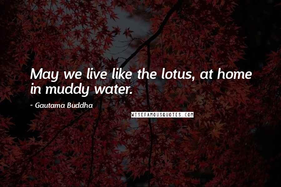 Gautama Buddha Quotes: May we live like the lotus, at home in muddy water.