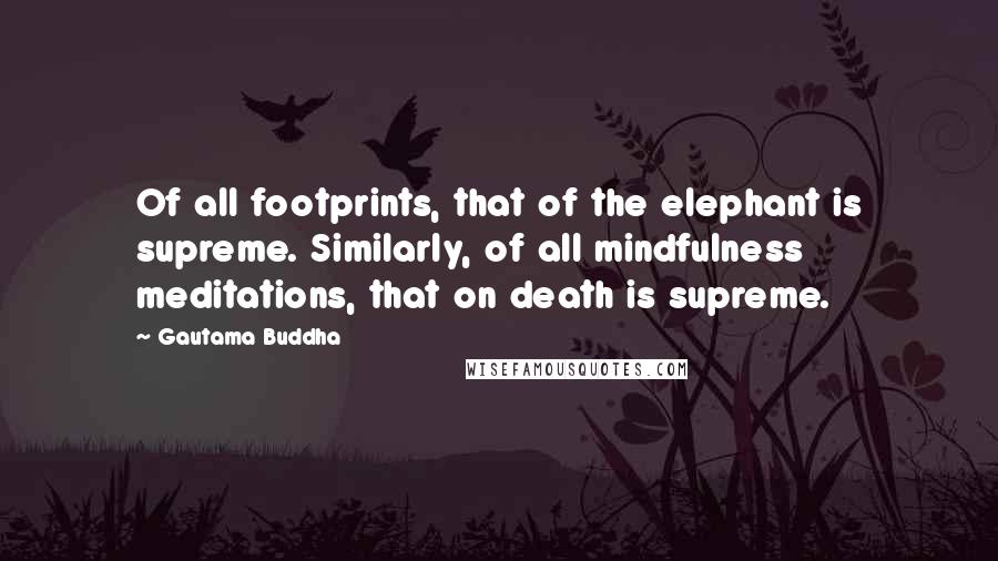 Gautama Buddha Quotes: Of all footprints, that of the elephant is supreme. Similarly, of all mindfulness meditations, that on death is supreme.