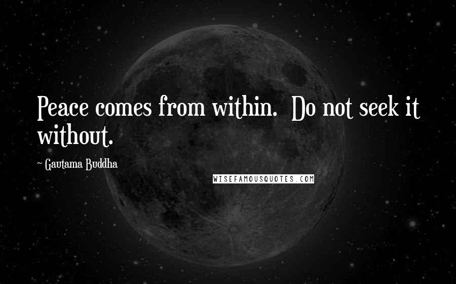 Gautama Buddha Quotes: Peace comes from within.  Do not seek it without.