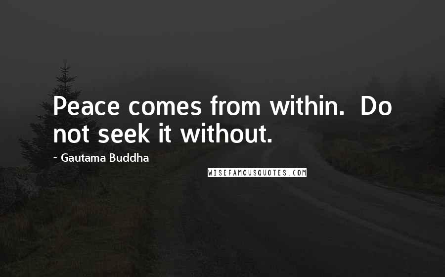 Gautama Buddha Quotes: Peace comes from within.  Do not seek it without.