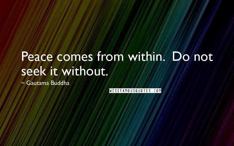 Gautama Buddha Quotes: Peace comes from within.  Do not seek it without.