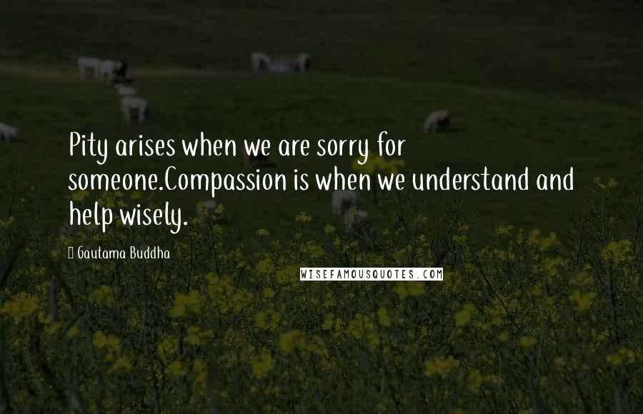 Gautama Buddha Quotes: Pity arises when we are sorry for someone.Compassion is when we understand and help wisely.