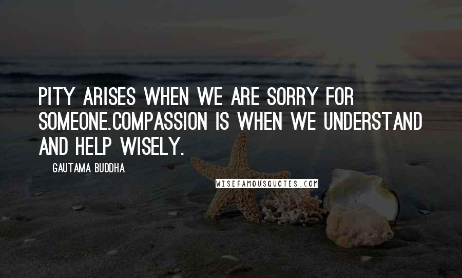 Gautama Buddha Quotes: Pity arises when we are sorry for someone.Compassion is when we understand and help wisely.