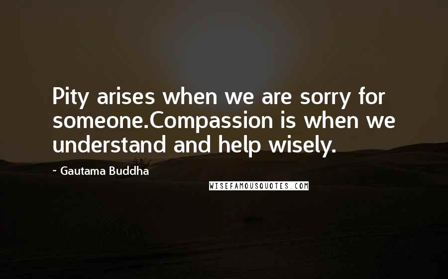 Gautama Buddha Quotes: Pity arises when we are sorry for someone.Compassion is when we understand and help wisely.