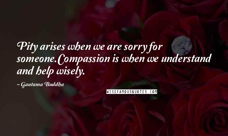 Gautama Buddha Quotes: Pity arises when we are sorry for someone.Compassion is when we understand and help wisely.