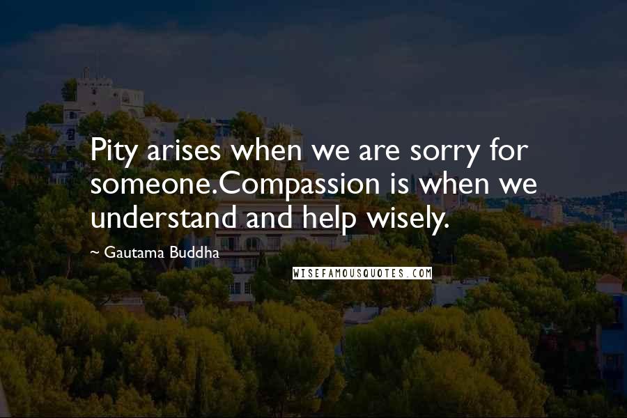 Gautama Buddha Quotes: Pity arises when we are sorry for someone.Compassion is when we understand and help wisely.