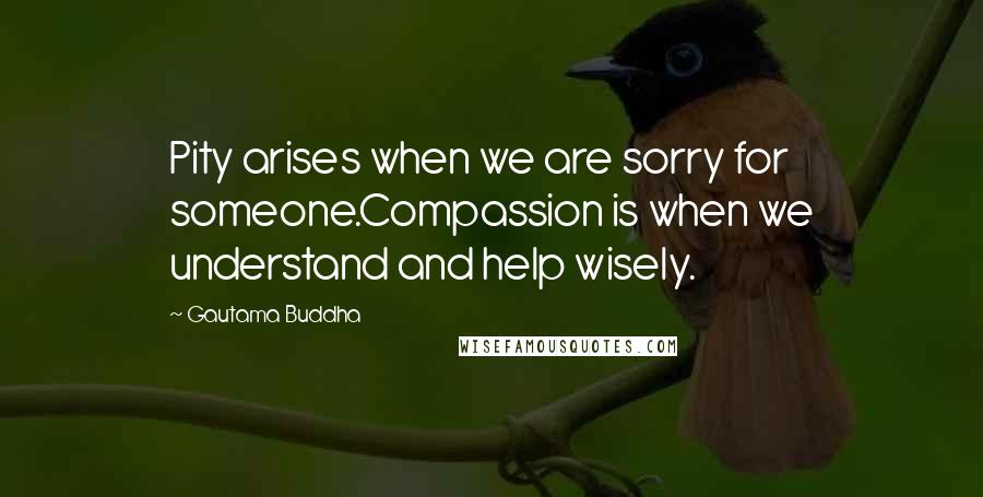 Gautama Buddha Quotes: Pity arises when we are sorry for someone.Compassion is when we understand and help wisely.