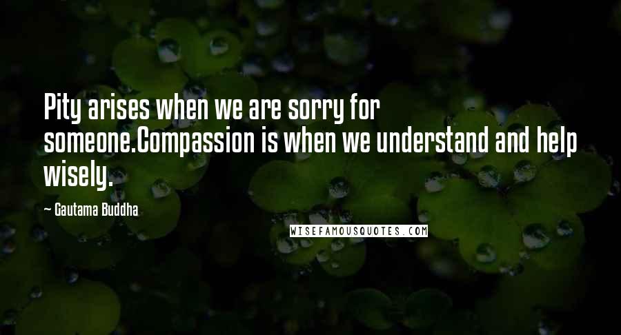 Gautama Buddha Quotes: Pity arises when we are sorry for someone.Compassion is when we understand and help wisely.