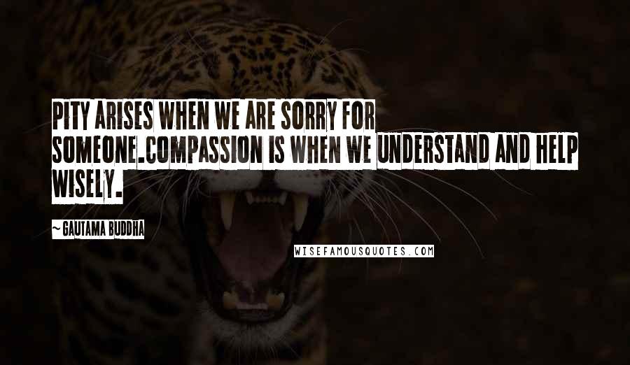 Gautama Buddha Quotes: Pity arises when we are sorry for someone.Compassion is when we understand and help wisely.