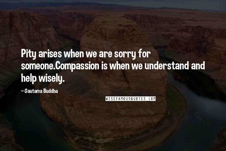 Gautama Buddha Quotes: Pity arises when we are sorry for someone.Compassion is when we understand and help wisely.