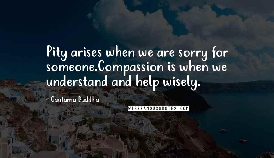 Gautama Buddha Quotes: Pity arises when we are sorry for someone.Compassion is when we understand and help wisely.