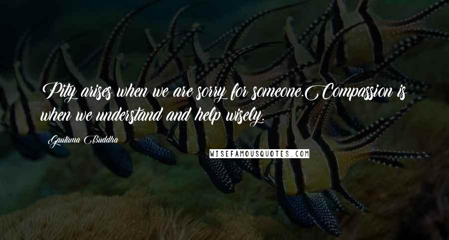 Gautama Buddha Quotes: Pity arises when we are sorry for someone.Compassion is when we understand and help wisely.