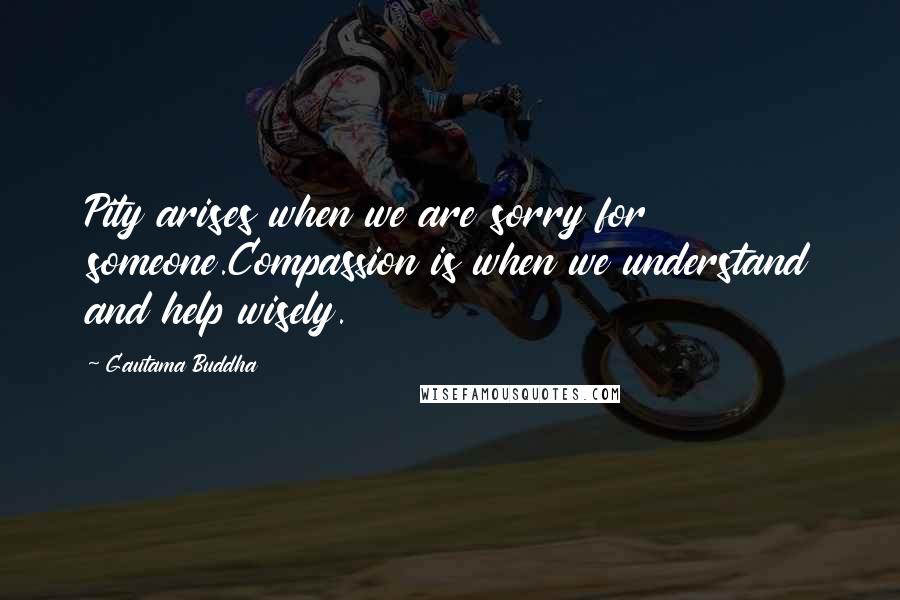 Gautama Buddha Quotes: Pity arises when we are sorry for someone.Compassion is when we understand and help wisely.
