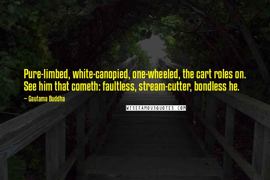 Gautama Buddha Quotes: Pure-limbed, white-canopied, one-wheeled, the cart roles on. See him that cometh: faultless, stream-cutter, bondless he.