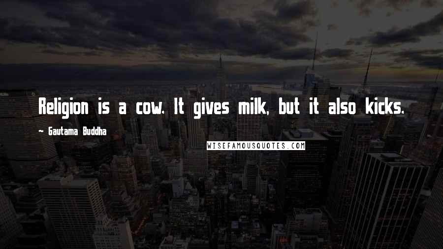 Gautama Buddha Quotes: Religion is a cow. It gives milk, but it also kicks.