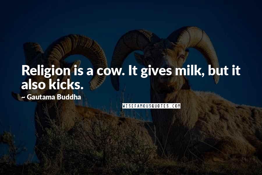 Gautama Buddha Quotes: Religion is a cow. It gives milk, but it also kicks.