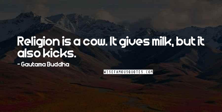 Gautama Buddha Quotes: Religion is a cow. It gives milk, but it also kicks.