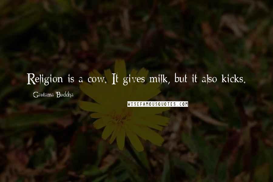 Gautama Buddha Quotes: Religion is a cow. It gives milk, but it also kicks.