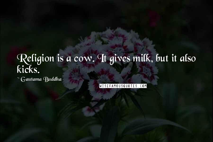 Gautama Buddha Quotes: Religion is a cow. It gives milk, but it also kicks.