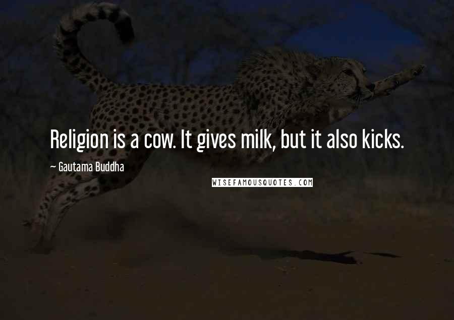 Gautama Buddha Quotes: Religion is a cow. It gives milk, but it also kicks.