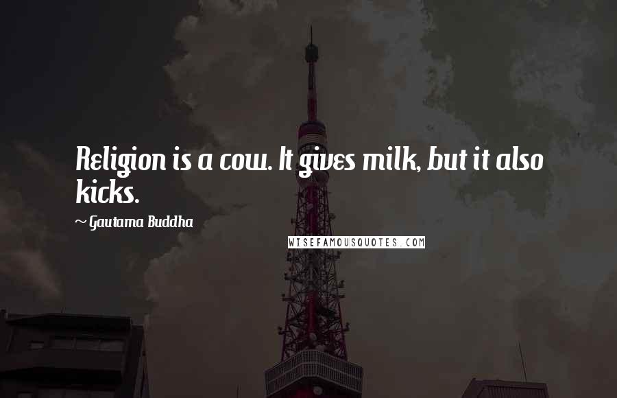 Gautama Buddha Quotes: Religion is a cow. It gives milk, but it also kicks.