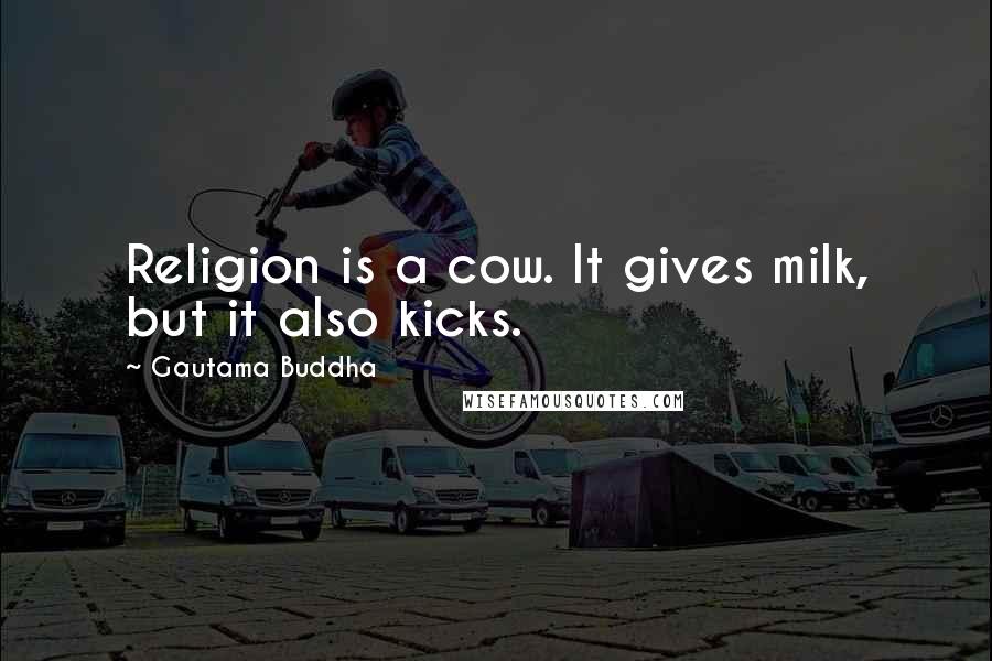 Gautama Buddha Quotes: Religion is a cow. It gives milk, but it also kicks.