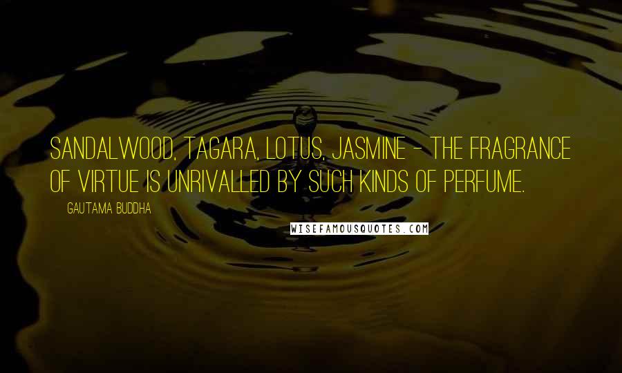 Gautama Buddha Quotes: Sandalwood, tagara, lotus, jasmine - the fragrance of virtue is unrivalled by such kinds of perfume.