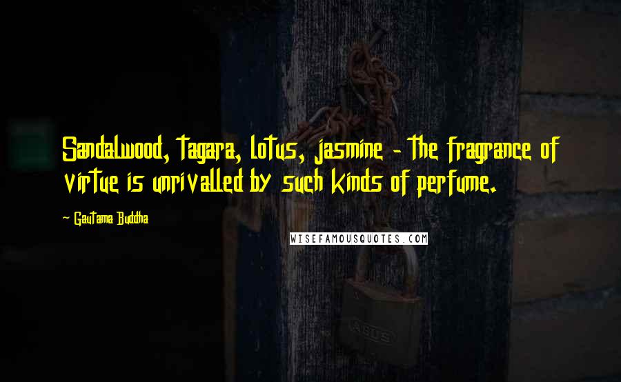 Gautama Buddha Quotes: Sandalwood, tagara, lotus, jasmine - the fragrance of virtue is unrivalled by such kinds of perfume.