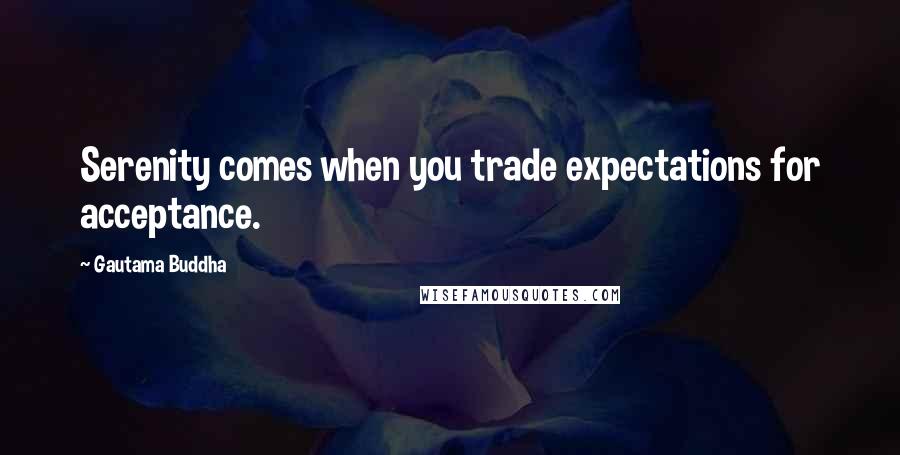 Gautama Buddha Quotes: Serenity comes when you trade expectations for acceptance.