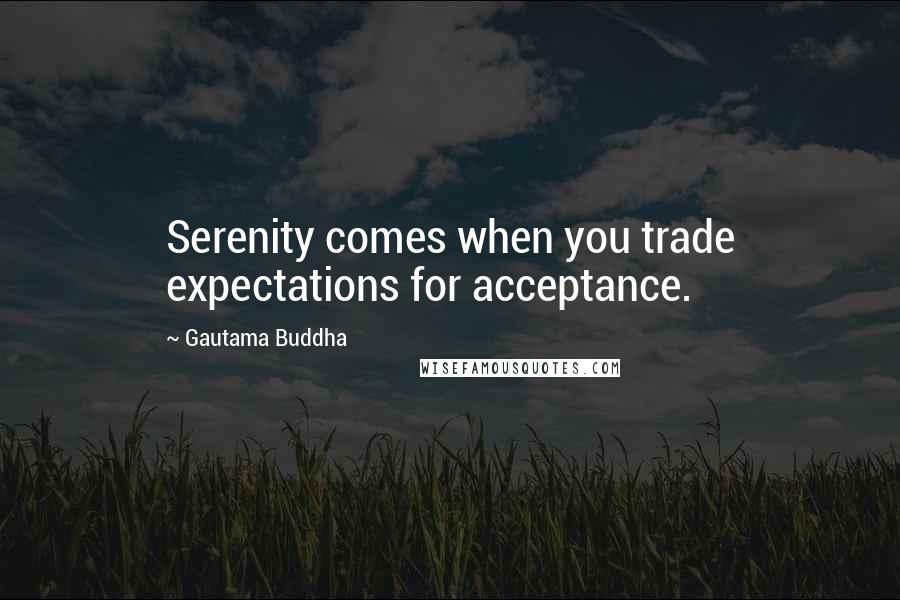 Gautama Buddha Quotes: Serenity comes when you trade expectations for acceptance.