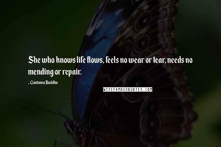 Gautama Buddha Quotes: She who knows life flows, feels no wear or tear, needs no mending or repair.