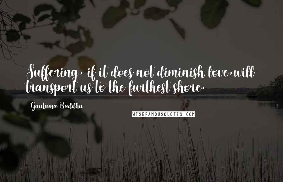 Gautama Buddha Quotes: Suffering, if it does not diminish love,will transport us to the furthest shore.