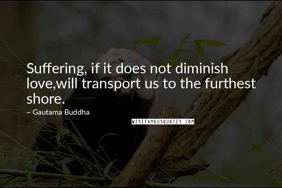 Gautama Buddha Quotes: Suffering, if it does not diminish love,will transport us to the furthest shore.