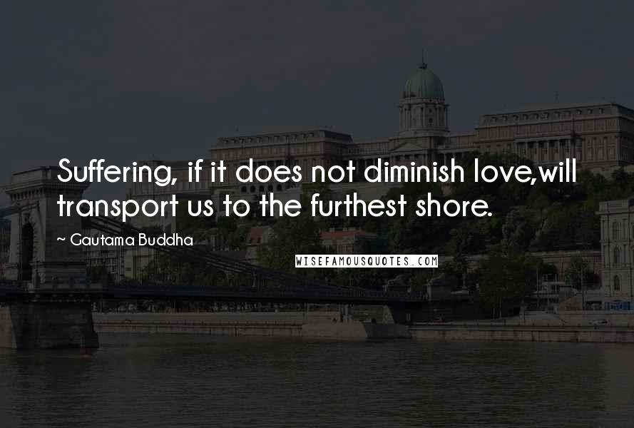 Gautama Buddha Quotes: Suffering, if it does not diminish love,will transport us to the furthest shore.