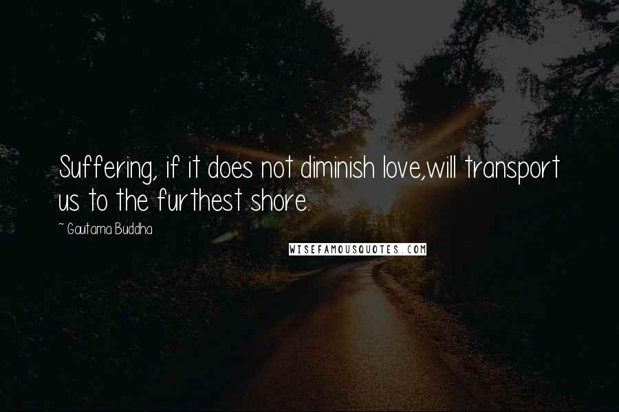 Gautama Buddha Quotes: Suffering, if it does not diminish love,will transport us to the furthest shore.