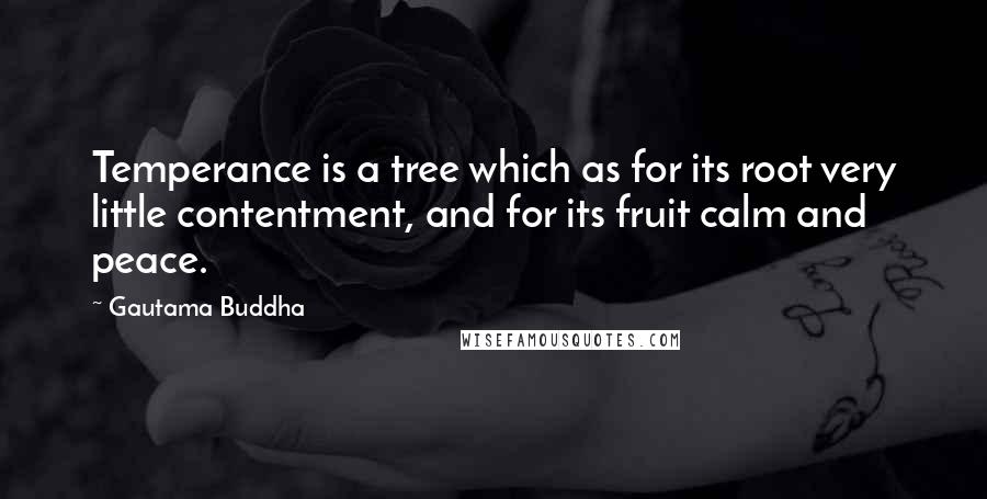Gautama Buddha Quotes: Temperance is a tree which as for its root very little contentment, and for its fruit calm and peace.