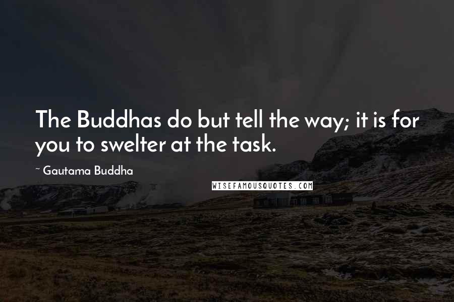 Gautama Buddha Quotes: The Buddhas do but tell the way; it is for you to swelter at the task.