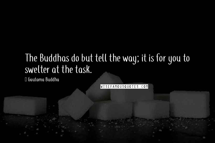 Gautama Buddha Quotes: The Buddhas do but tell the way; it is for you to swelter at the task.