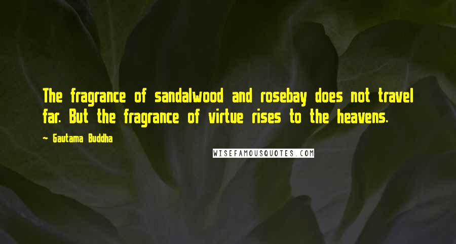 Gautama Buddha Quotes: The fragrance of sandalwood and rosebay does not travel far. But the fragrance of virtue rises to the heavens.