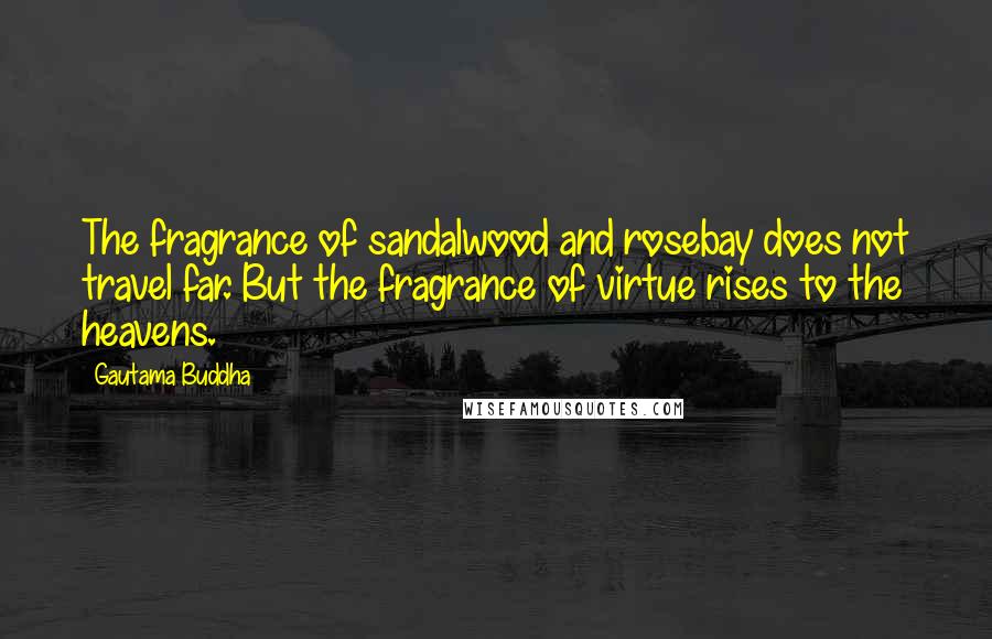 Gautama Buddha Quotes: The fragrance of sandalwood and rosebay does not travel far. But the fragrance of virtue rises to the heavens.