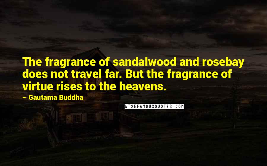 Gautama Buddha Quotes: The fragrance of sandalwood and rosebay does not travel far. But the fragrance of virtue rises to the heavens.