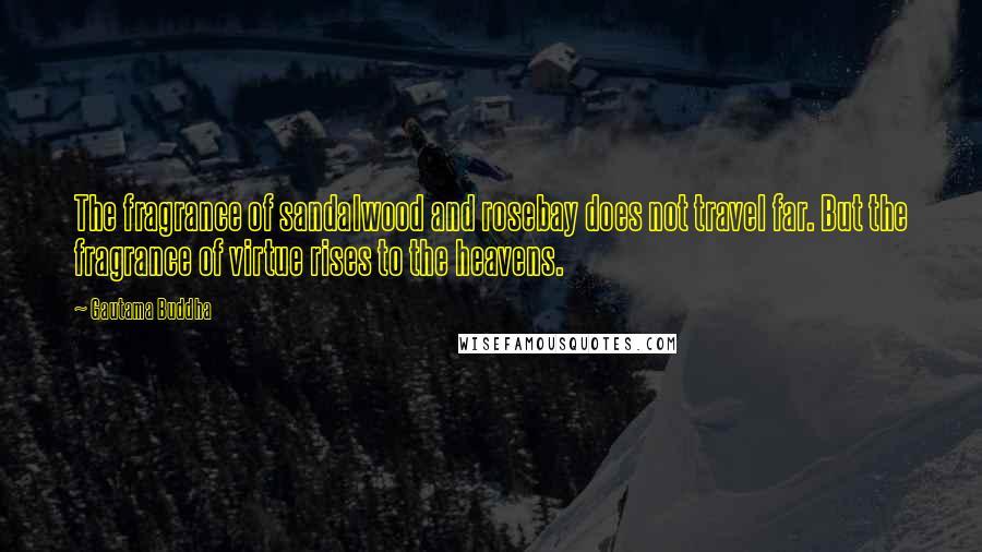 Gautama Buddha Quotes: The fragrance of sandalwood and rosebay does not travel far. But the fragrance of virtue rises to the heavens.