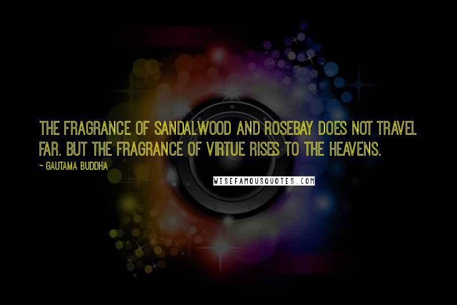 Gautama Buddha Quotes: The fragrance of sandalwood and rosebay does not travel far. But the fragrance of virtue rises to the heavens.