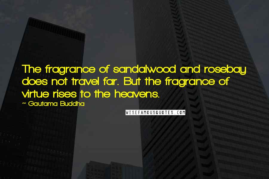 Gautama Buddha Quotes: The fragrance of sandalwood and rosebay does not travel far. But the fragrance of virtue rises to the heavens.