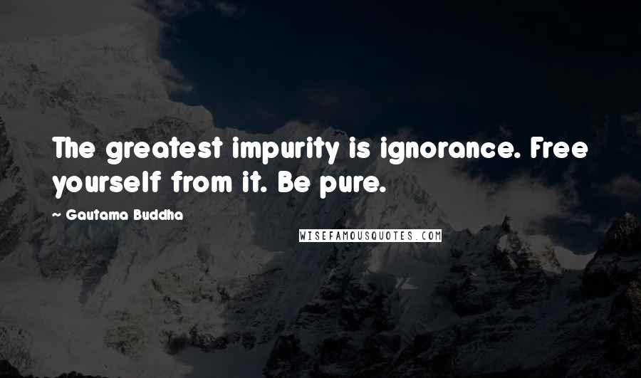 Gautama Buddha Quotes: The greatest impurity is ignorance. Free yourself from it. Be pure.