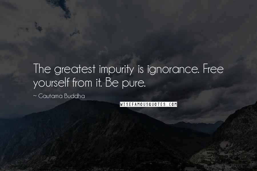 Gautama Buddha Quotes: The greatest impurity is ignorance. Free yourself from it. Be pure.