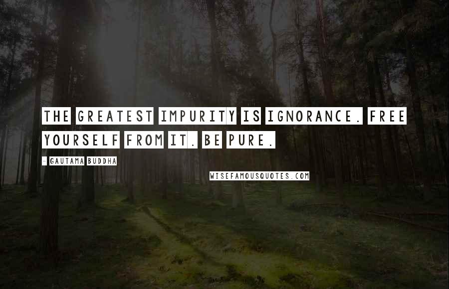 Gautama Buddha Quotes: The greatest impurity is ignorance. Free yourself from it. Be pure.