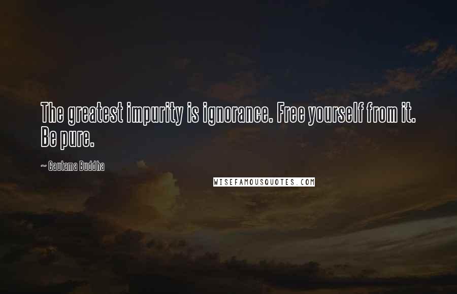 Gautama Buddha Quotes: The greatest impurity is ignorance. Free yourself from it. Be pure.