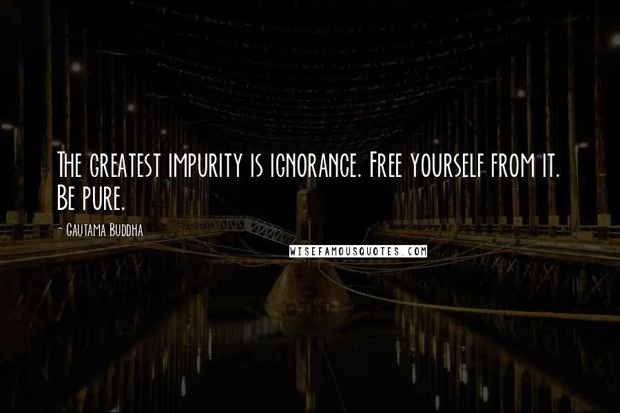 Gautama Buddha Quotes: The greatest impurity is ignorance. Free yourself from it. Be pure.